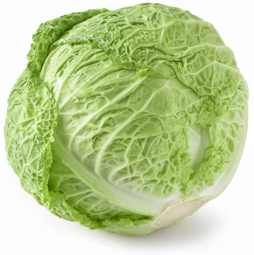 CABBAGE SAVOY