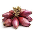 ONION RED TROPEA DRY STRING BUNCH