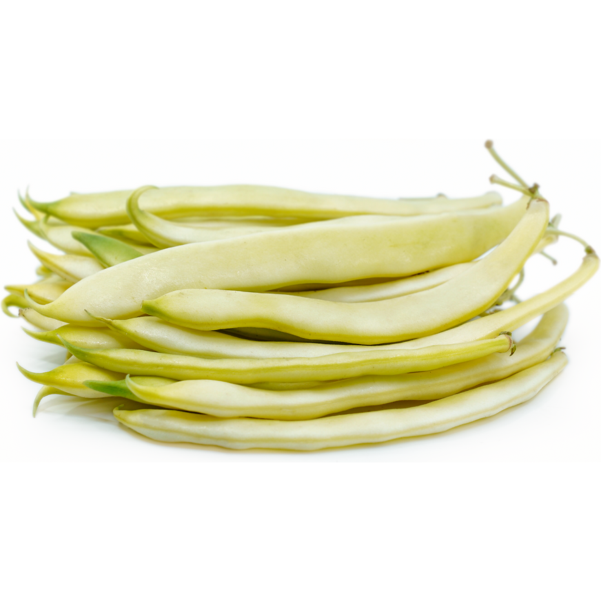 BEANS FLAT YELLOW