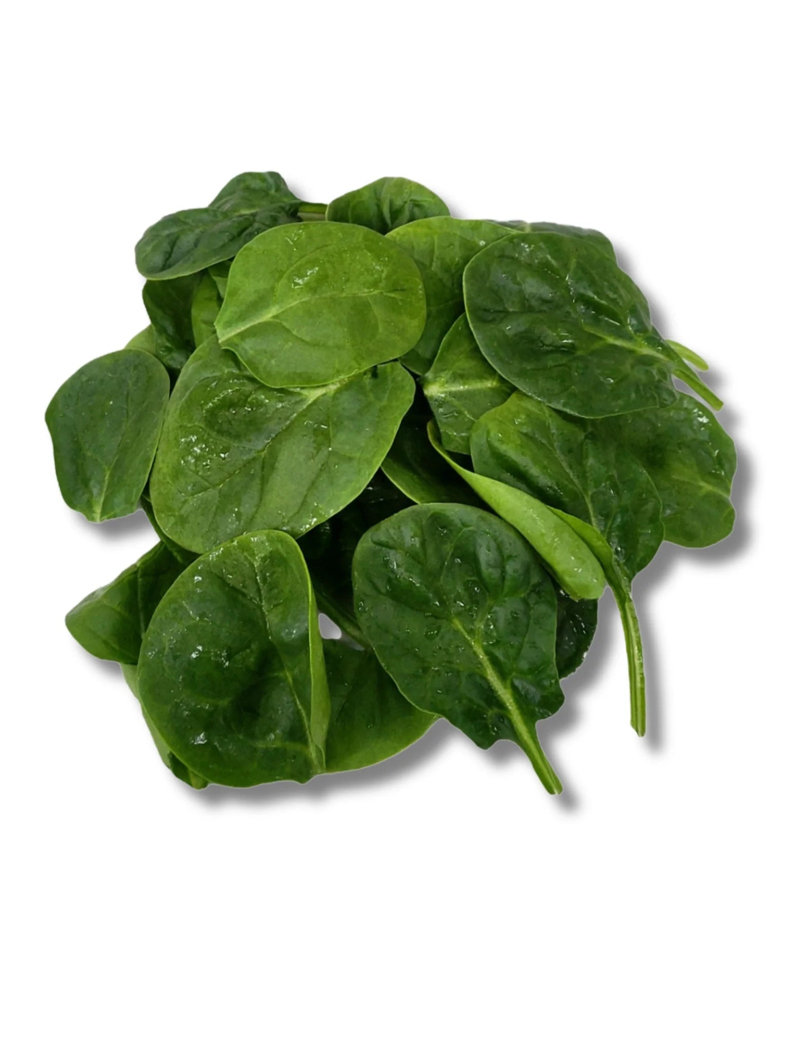 BABY SPINACH 8X125G