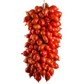 TOMATO PIENNOLO RED