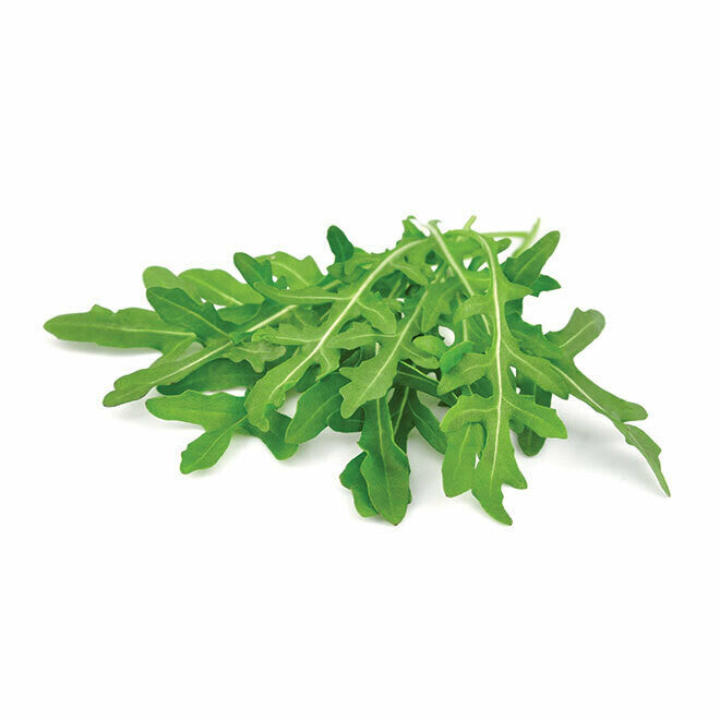 ROCKET 100GR X 8