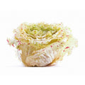 CASTELFRANCO