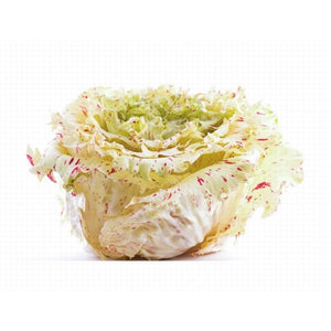 CASTELFRANCO