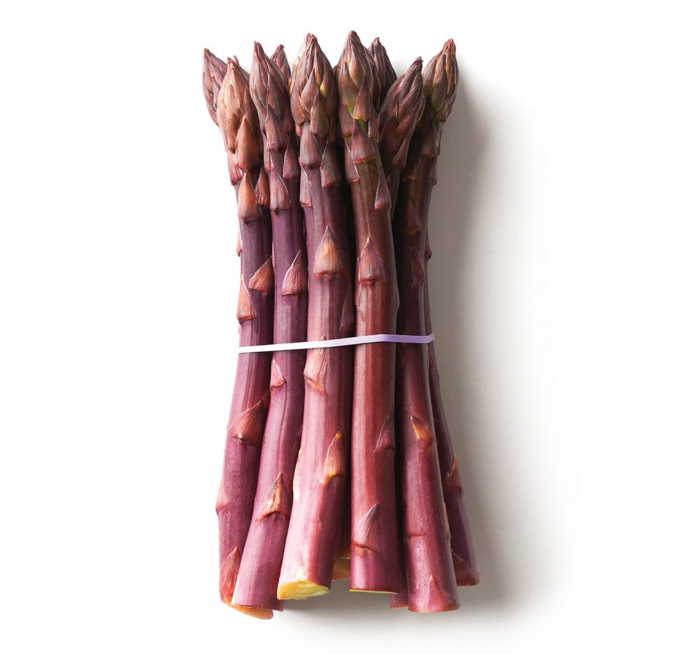 ASPARAGUS PURPLE