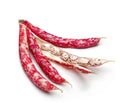 BORLOTTI FRESH