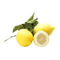 LEMONS LEAFY UNWAXED COSTIERA