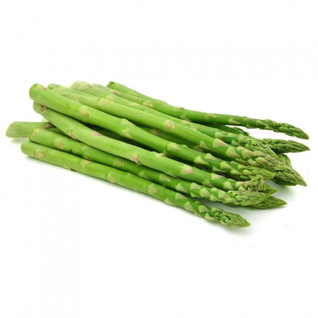 ASPARAGUS GREEN MEDIUM