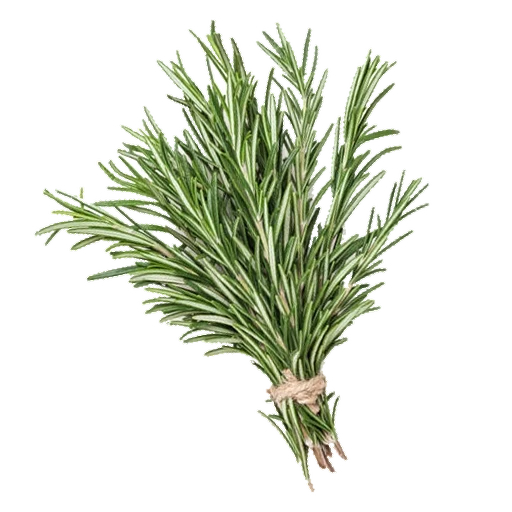 ROSEMARY 10 BUNCHES X 100G