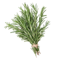 ROSEMARY 10 BUNCHES X 100G