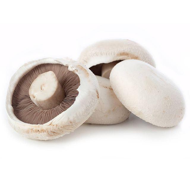 MUSHROOM CAP