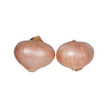 ONION DRY MONTORO