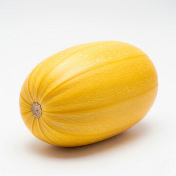 SQUASH SPAGHETTI
