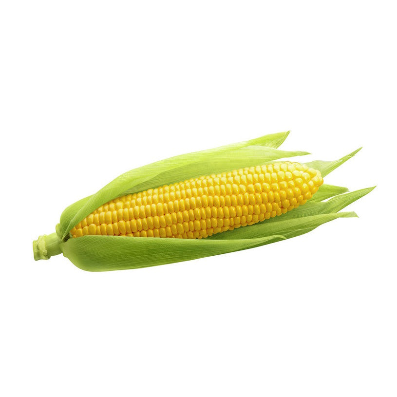 CORN COB ORNAMENTAL