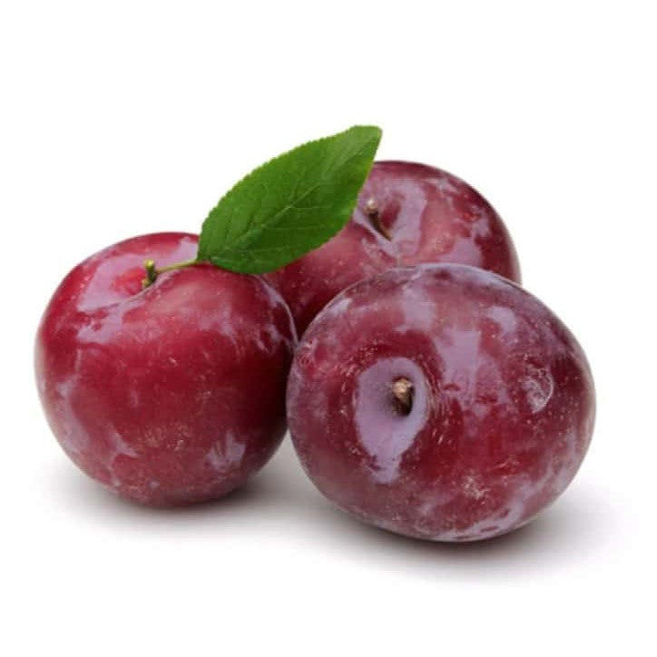 PLUM RED