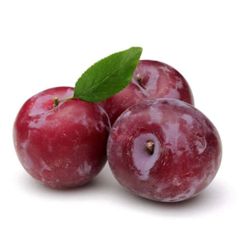 PLUM RED