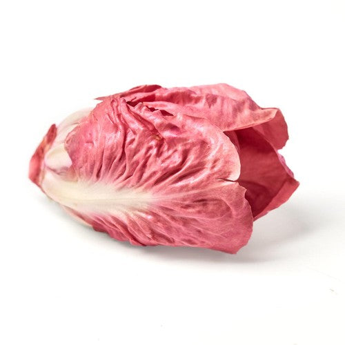 RADICCHIO PINK