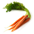 CARROTS LEAFY BUNCHED X 12`S