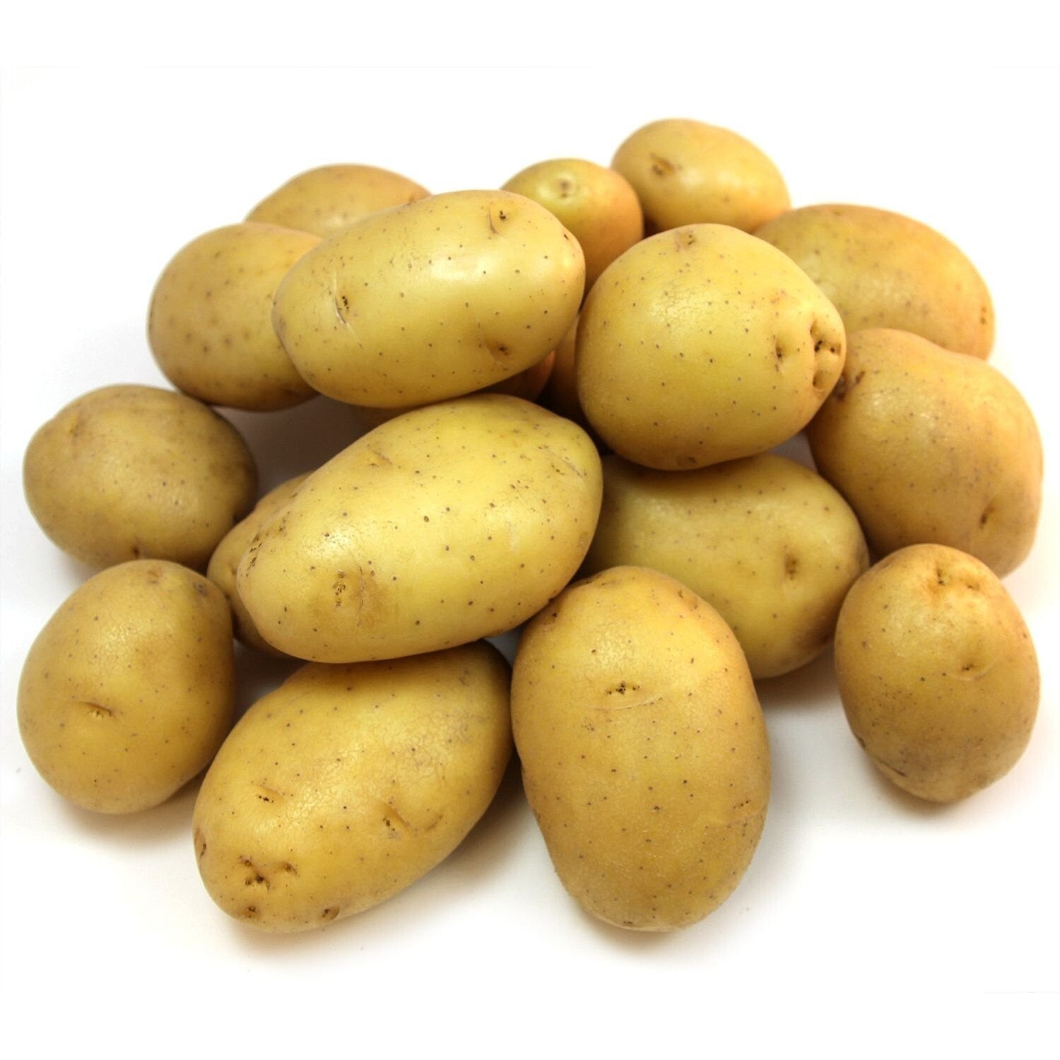POTATO YELLOW