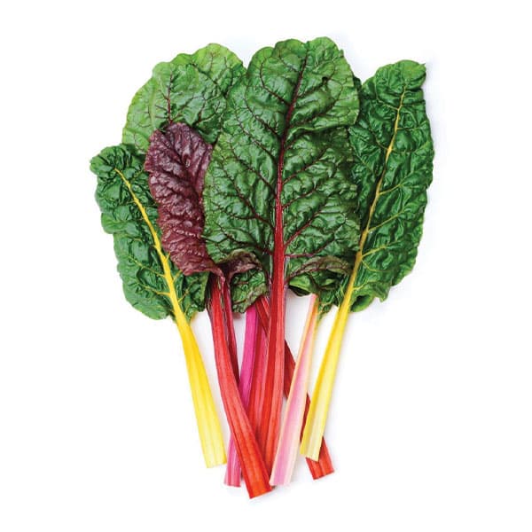 SWISS CHARD RAINBOW