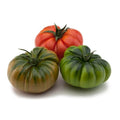 TOMATO MERINDA PUNNET