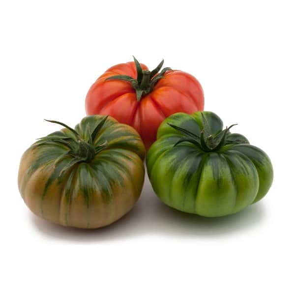 TOMATO MERINDA PUNNET