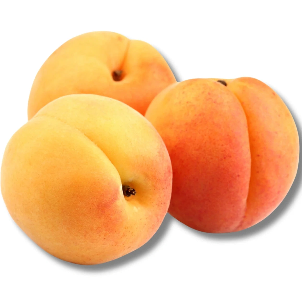 APRICOT PUNNET