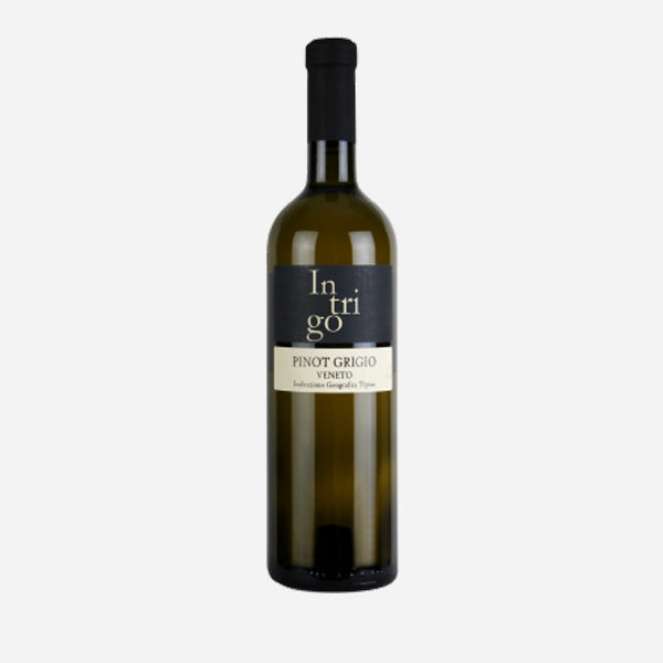 INTRIGO PINOT GRIGIO DOC (6X75CL)