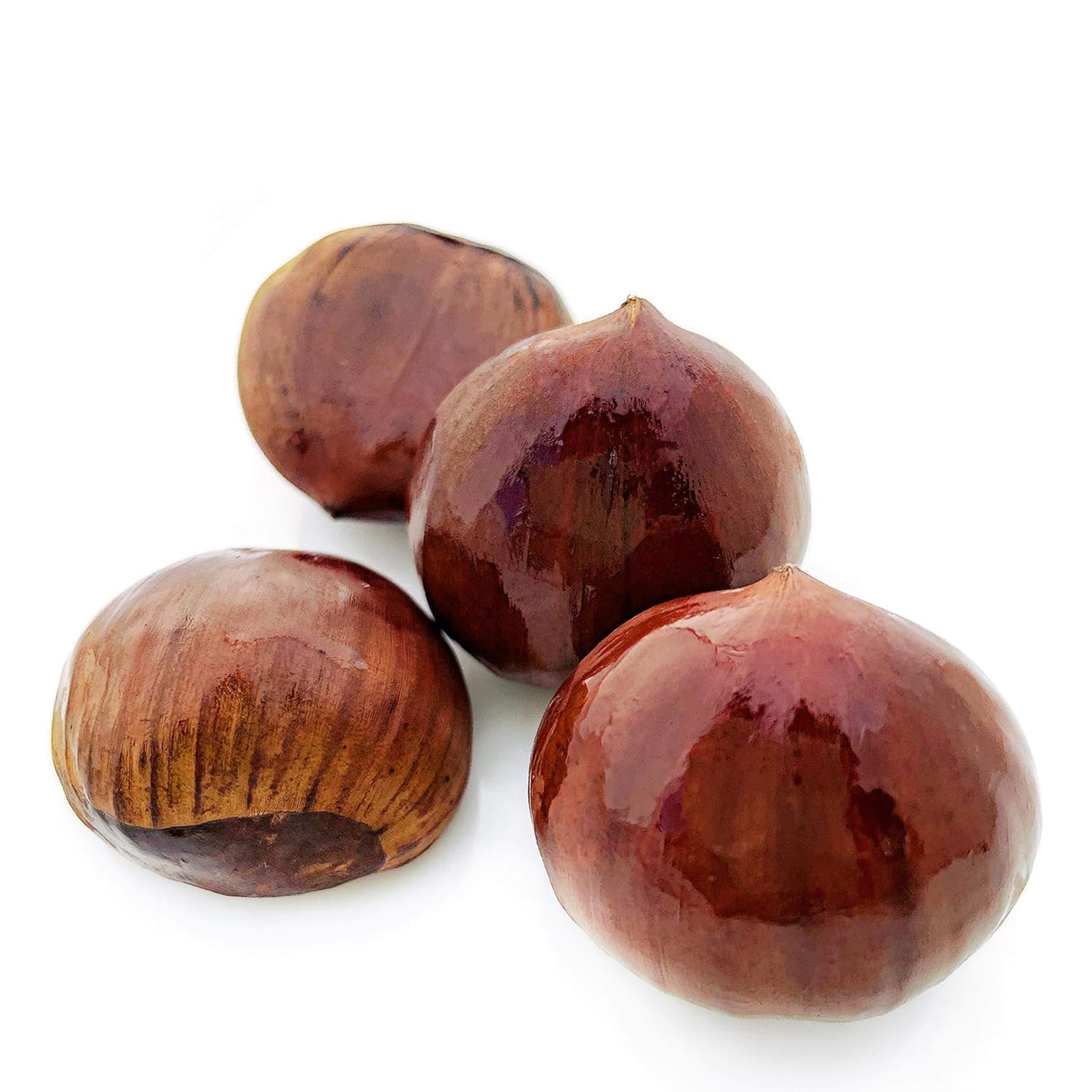 CHESTNUT 18X100GR