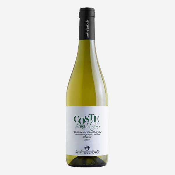VERDICCHIO CASTELLI DI JESIDOC COSTE DEL MOLINO  (6X75CL)
