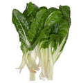 SWISS CHARD