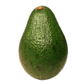 AVOCADO ITALY