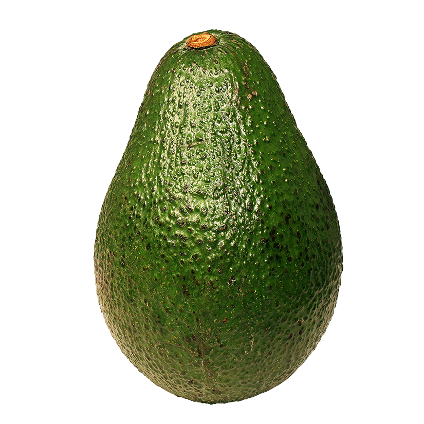 AVOCADO ITALY