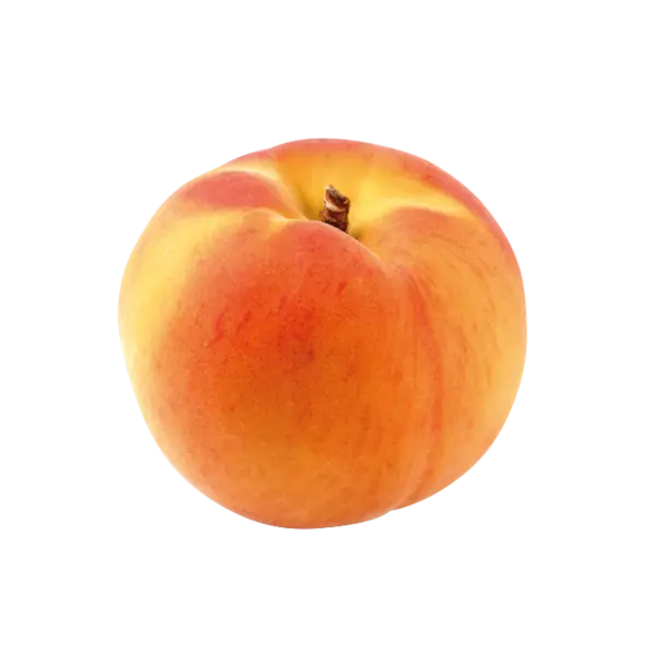 APRICOT