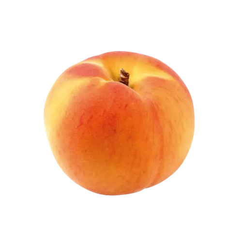 APRICOT