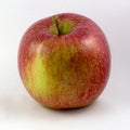 APPLE FUJI