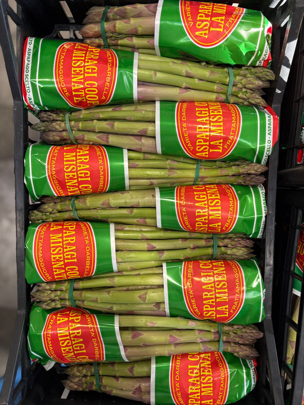 ASPARAGUS GREEN MEDIUM