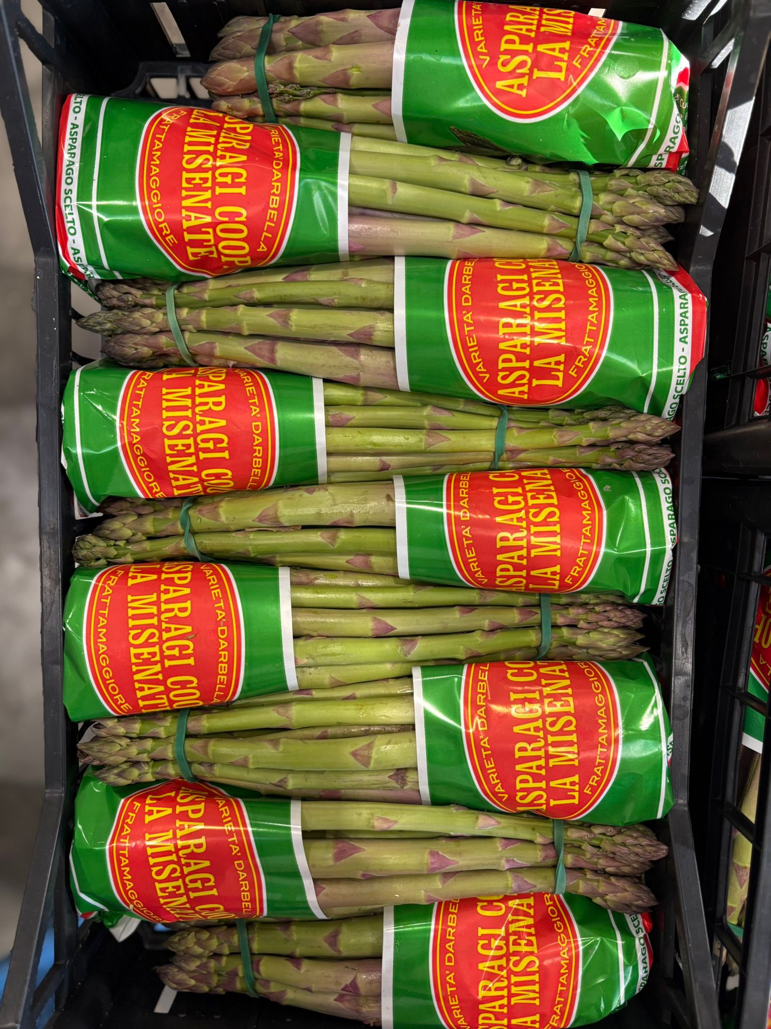 ASPARAGUS GREEN MEDIUM