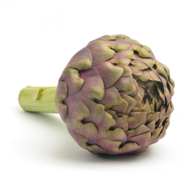 ARTICHOKES MAMMOLA X 10