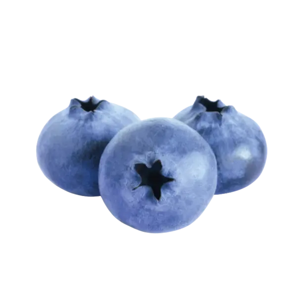 BLUEBERRY