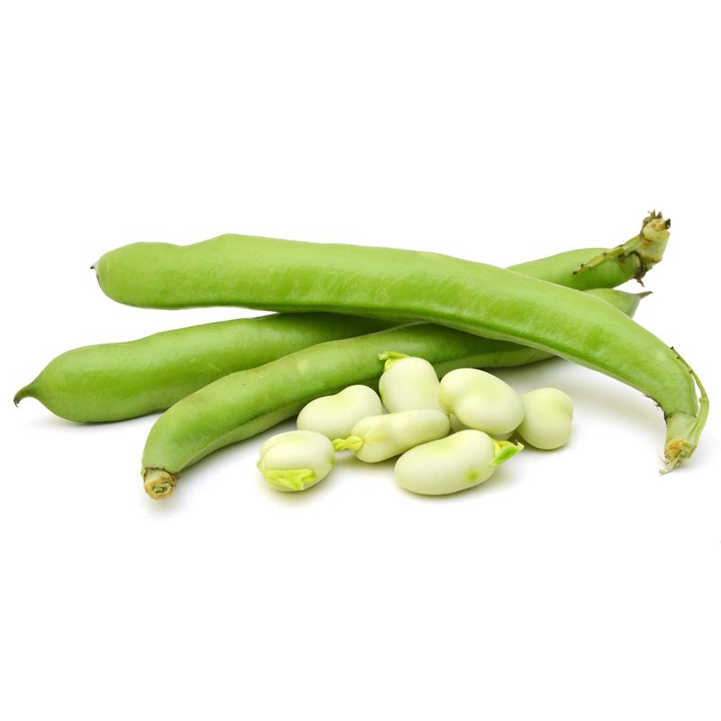 BEANS BROAD