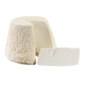 CENTROFORM SICILIAN SALTED RICOTTA 12X300G
