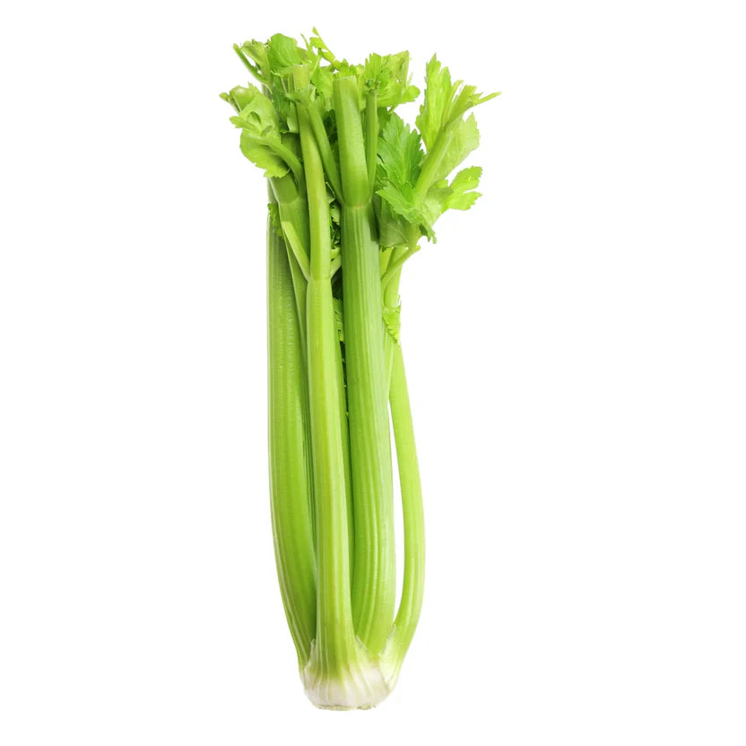 CELERY LEAFY