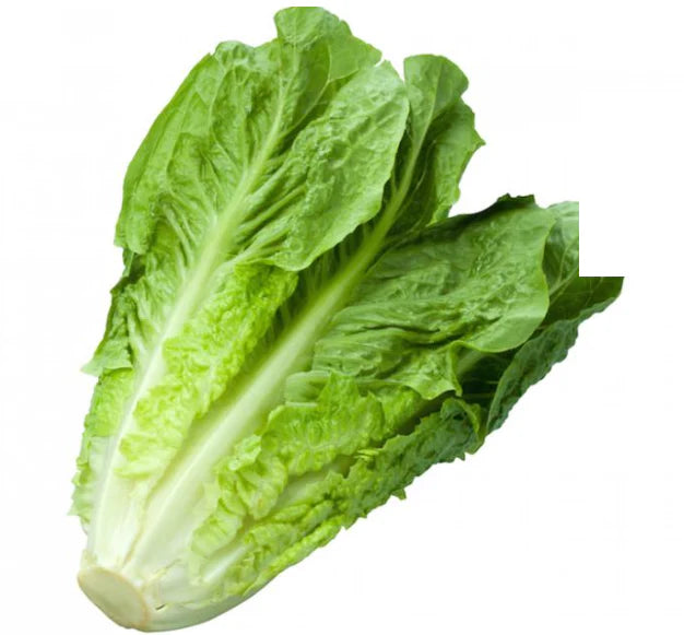 LETTUCE COS
