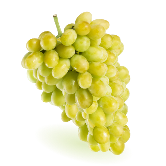 GRAPES WHITE SEEDLESS COTTON CANDY