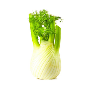FENNEL 12 PCS