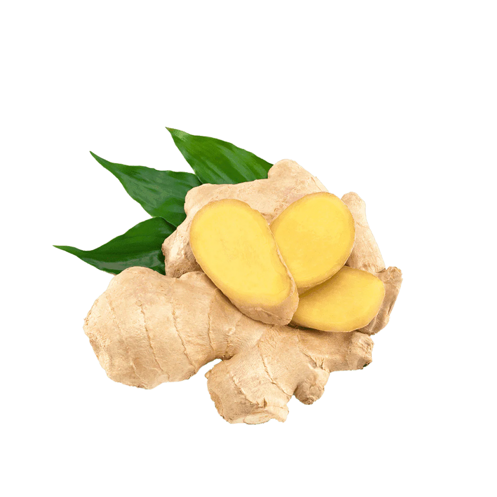 GINGER FRESH ITALIAN