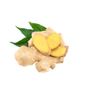 GINGER FRESH ITALIAN