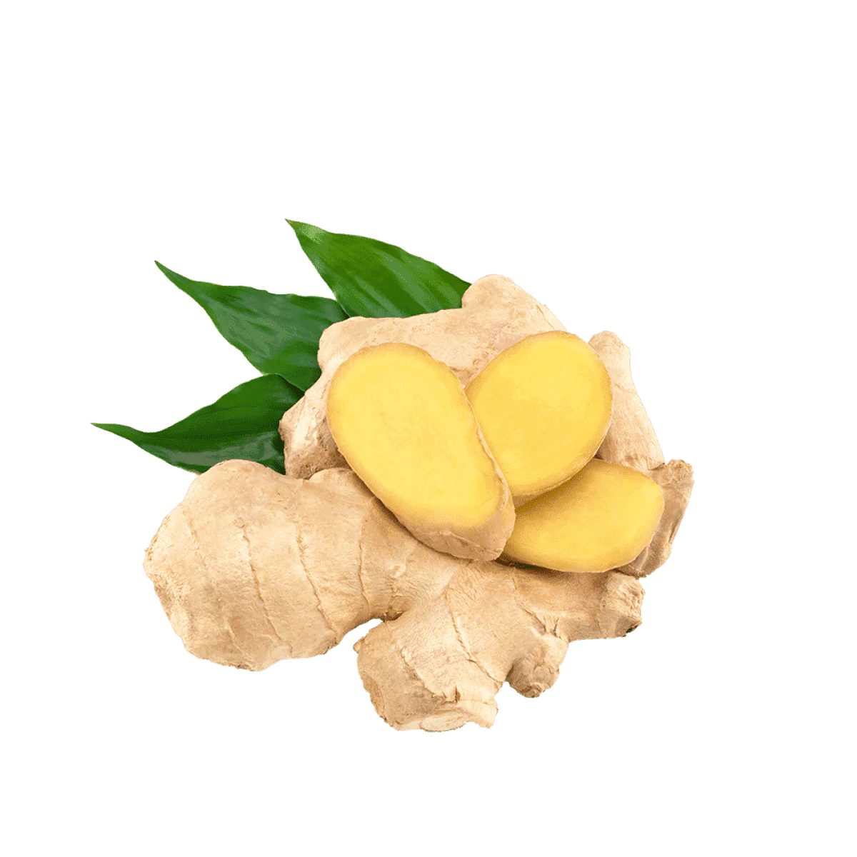 GINGER FRESH ITALIAN