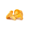 MUSHROOM GIROLLES